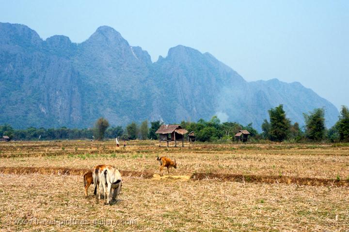 dry fields and limestone cliffs