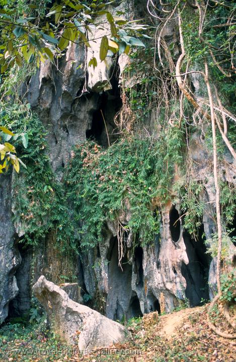 limestone cliffs (Karst landscape)