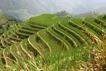 Pictures of China - Longsheng
