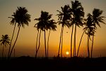 Pictures of India - Goa