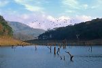 Pictures of India - Kerala - Cochin - Backwaters - Periyar