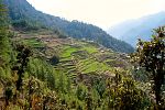 Pictures of Nepal - Langtang Trek