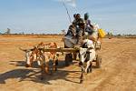 people returning from the market by ox cart