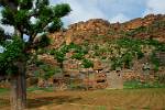the typical house building style of the Dogon