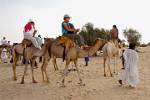 tourists on a camel trip in the surrounding desert