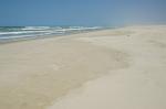 where the desert meets the ocean