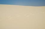 footsteps in the sand, desert landscape