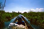 tourists touring the lake canals