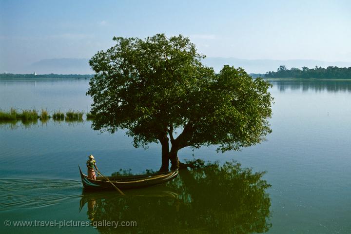 boat and tree on the Taungthaman Lake