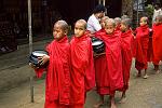 young monks on an alms begging round