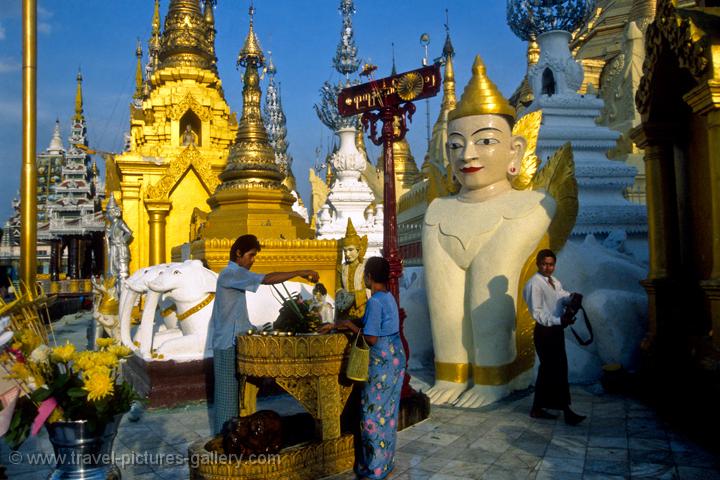 paying respects at the Shwedagon Pagoda
