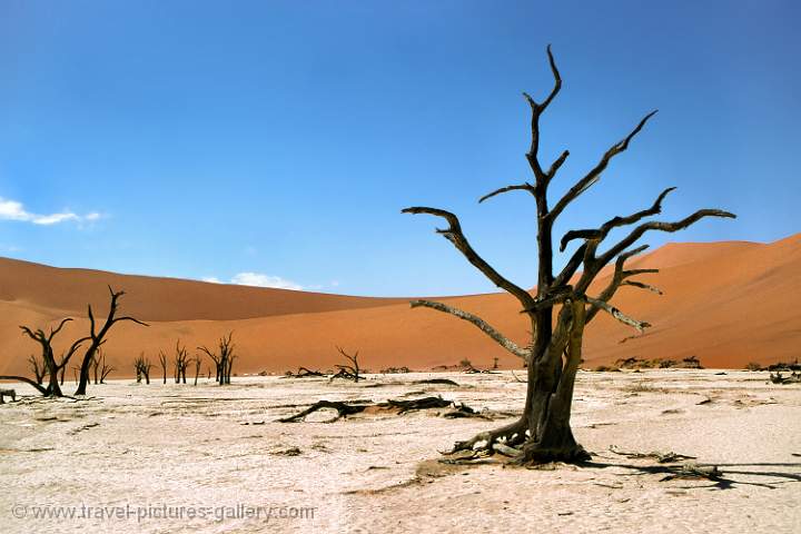 Namib Naukluft Desert National Park