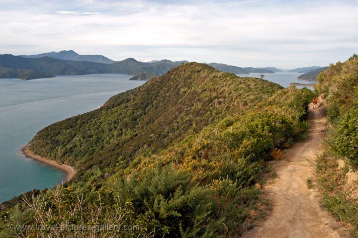 walk along the Queen Charlotte Sound
