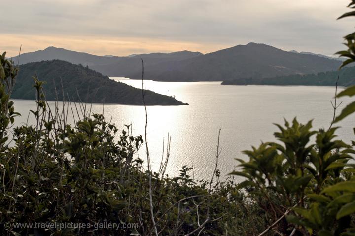 walk along the Queen Charlotte Sound
