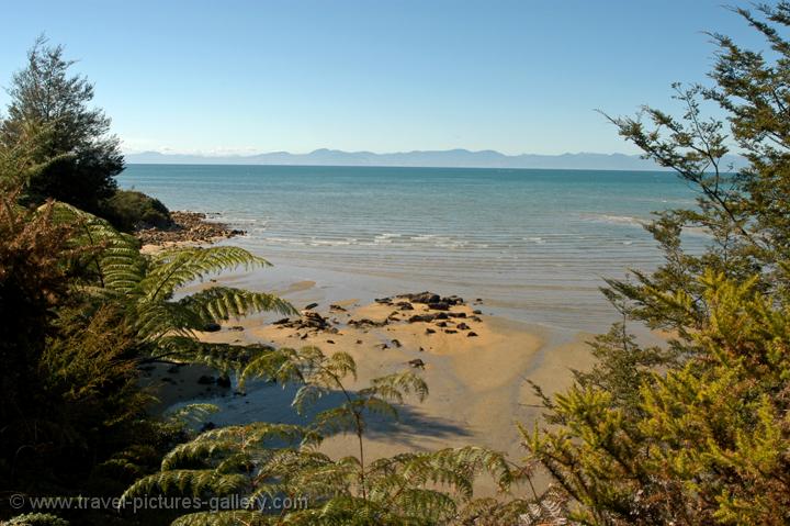 along the Abel Tasman Coastal Track