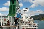 on the ferry from Wellington to Picton