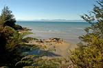 along the Abel Tasman Coastal Track