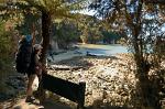 along the Abel Tasman Coastal Track
