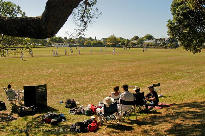 watching a cricket match, Devonport