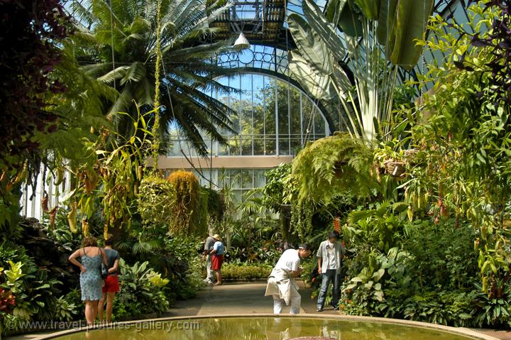 at the Winter Gardens hothouse, the Domain