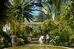 at the Winter Gardens hothouse, the Domain
