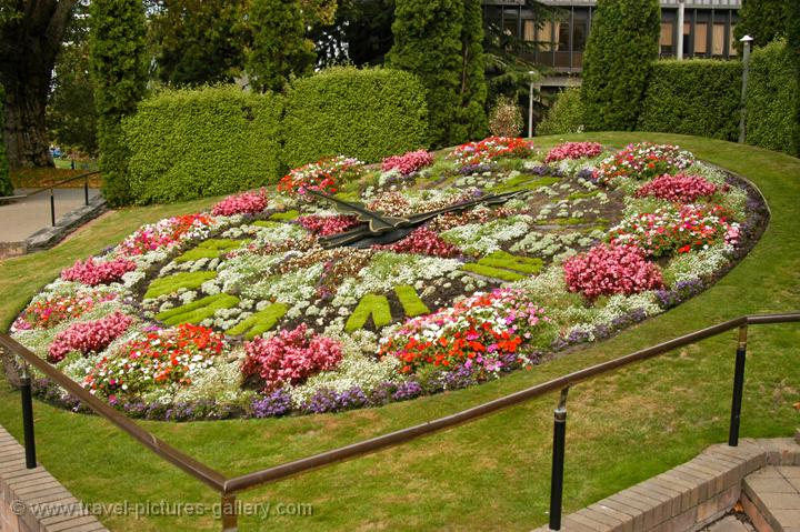 Floral Clock Been There Doe That