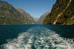 cruise on the Milford Sound, Southland, Fiordland
