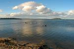tranquil Lake Rotorua