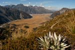 Mount Cook National Park