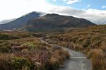 the Tongariro Crossing, one of New Zealands most famous treks