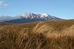 snowcapped Ruapehu volcano