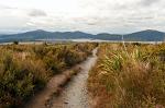 the last stretch towards Lake Rotoaira