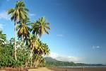 beach on the Pacific Coast