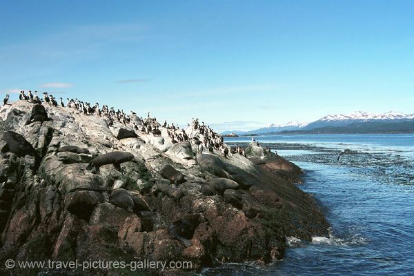 Pictures of Patagonia - Ushuaia, Beagle Canal, Fin del Mundo