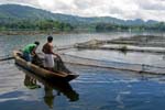 fish farmers, Lake Cebu, South Cotabato

