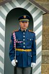 palace guard at the castle