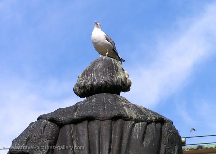 seagull on a statue