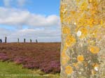 Pictures of Scotland - Orkney Islands - the Ring of Brodgar, a Neolithic henge and stone circle