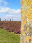 the Ring of Brodgar, a Neolithic henge and stone circle