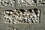 house built with clam shells