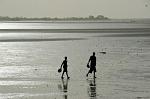 looking for clams at low tide