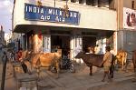 India Milk Bar