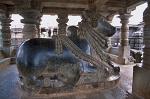 Bellur and Halebid, Nandi, Shiva's bull