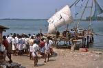 Cochin (Kochi) - bringing in the catch, Fort Cochin