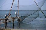 fishermen at work, Chinese fishing nets, Fort Cochin
