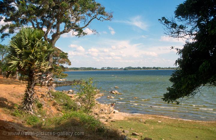 Nuwarawewa, a large artificial lake or tank