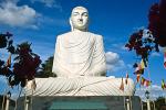Buddha statue