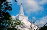 the Ruvanvelisaya Dagoba (Stupa)