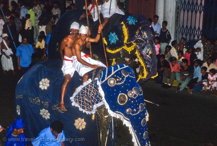 elephant procession, festival of the tooth