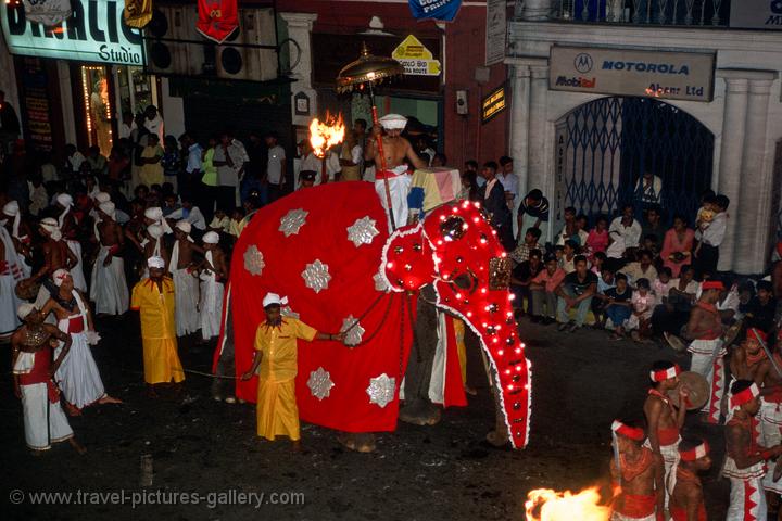 elephant procession, festival of the tooth